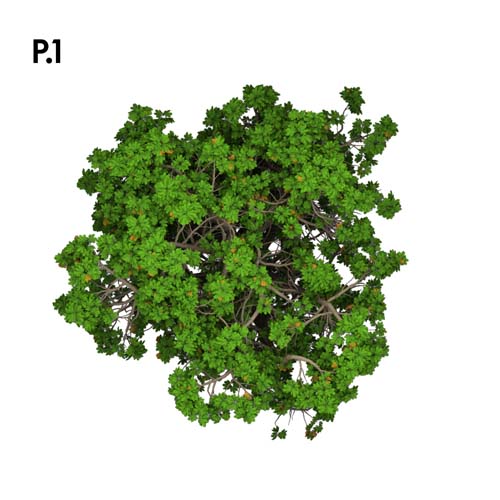 Přírodopis_motiv.jpg Přírodopis_motiv.jpg